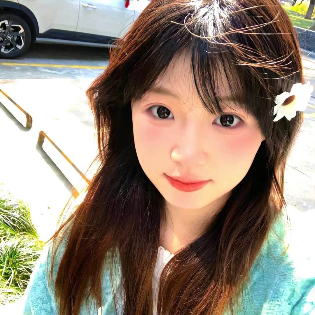 大指挥家:弦上的真相